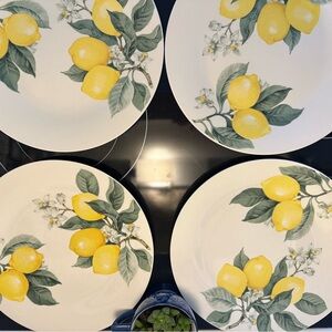 Lemon Print Dinner Plates Set